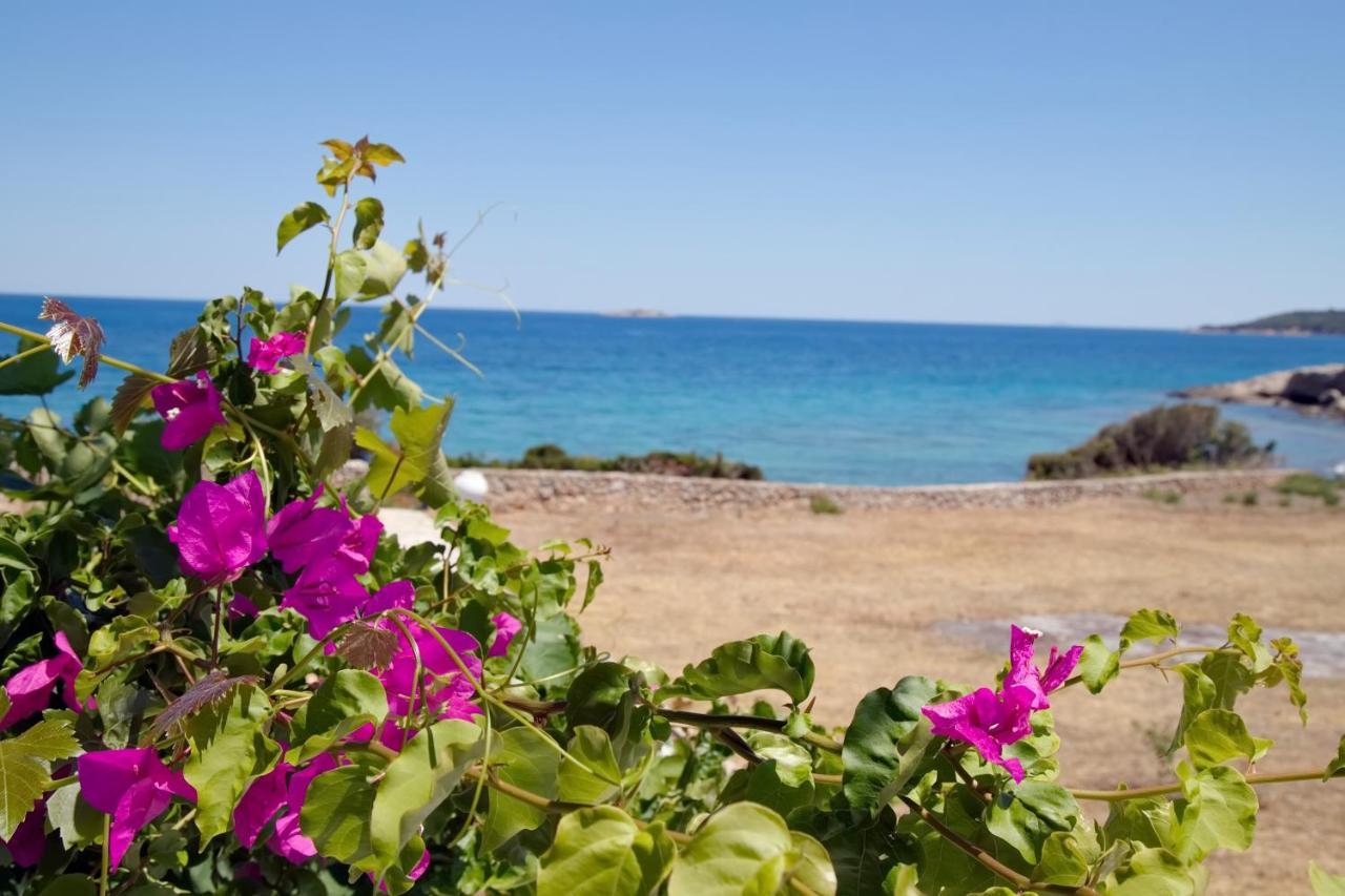 Aroura Homes 4Br Beachfront Villa Spetses Town Exterior photo