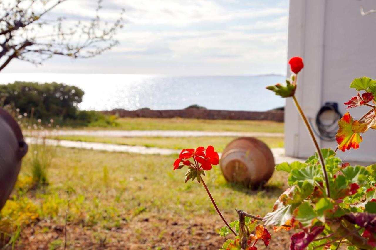 Aroura Homes 4Br Beachfront Villa Spetses Town Exterior photo